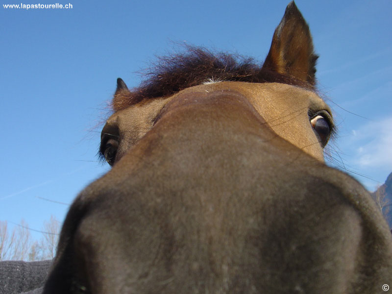 Photo de profil de cowgirl5769