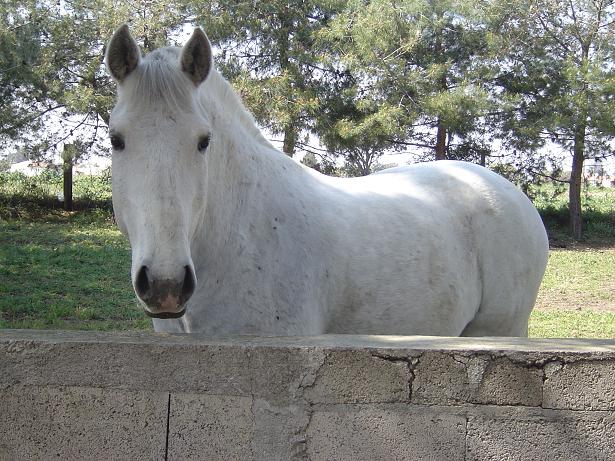 Photo de profil de delmcec