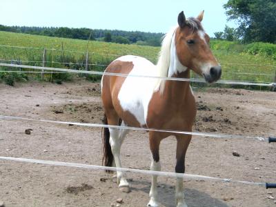 Photo de profil de dridrine88