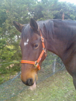 Photo de profil de eleonore69