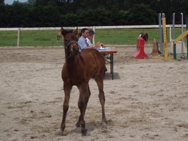 Photo de profil de elevagedubief