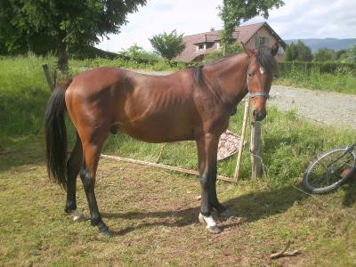 Photo de profil de elodie91420
