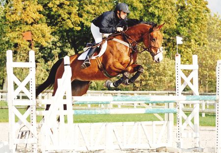 Photo de profil de equiseb