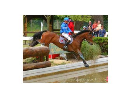 Photo de profil de equitadom