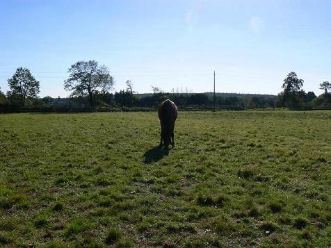 Photo de profil de facilelavie