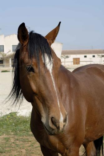 Photo de profil de fanette30