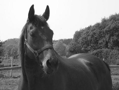 Photo de profil de fermedugerfaut