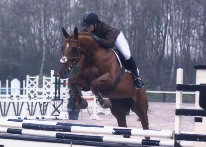 Photo de profil de fox-trot