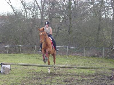 Photo de profil de haflinger42