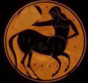 Photo de profil de hippocampe