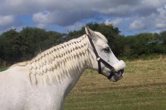 Photo de profil de jadena12
