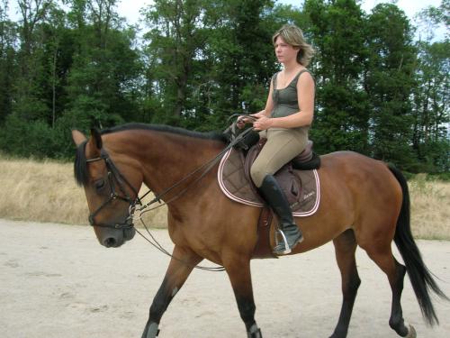 Photo de profil de jirna