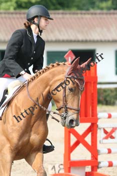 Photo de profil de kiwilady