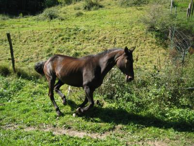 Photo de profil de lisa0361
