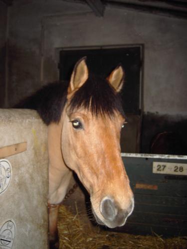 Photo de profil de loustic41