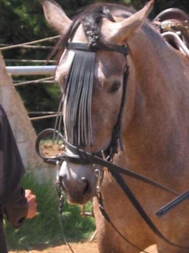Photo de profil de lucky