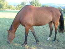 Photo de profil de manbotro1