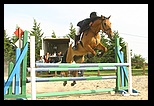 Photo de profil de marine0611