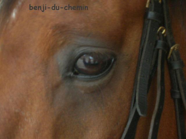 Photo de profil de marionette86