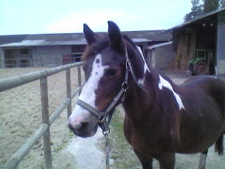 Photo de profil de melvis