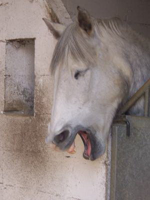 Photo de profil de mimitz