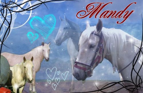 Photo de profil de miss-cheval