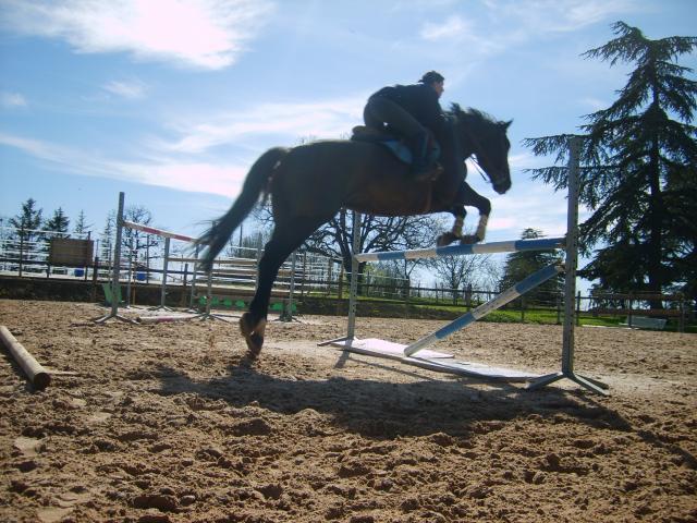 Photo de profil de moopy