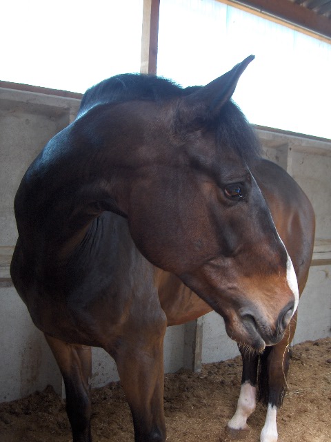 Photo de profil de moser