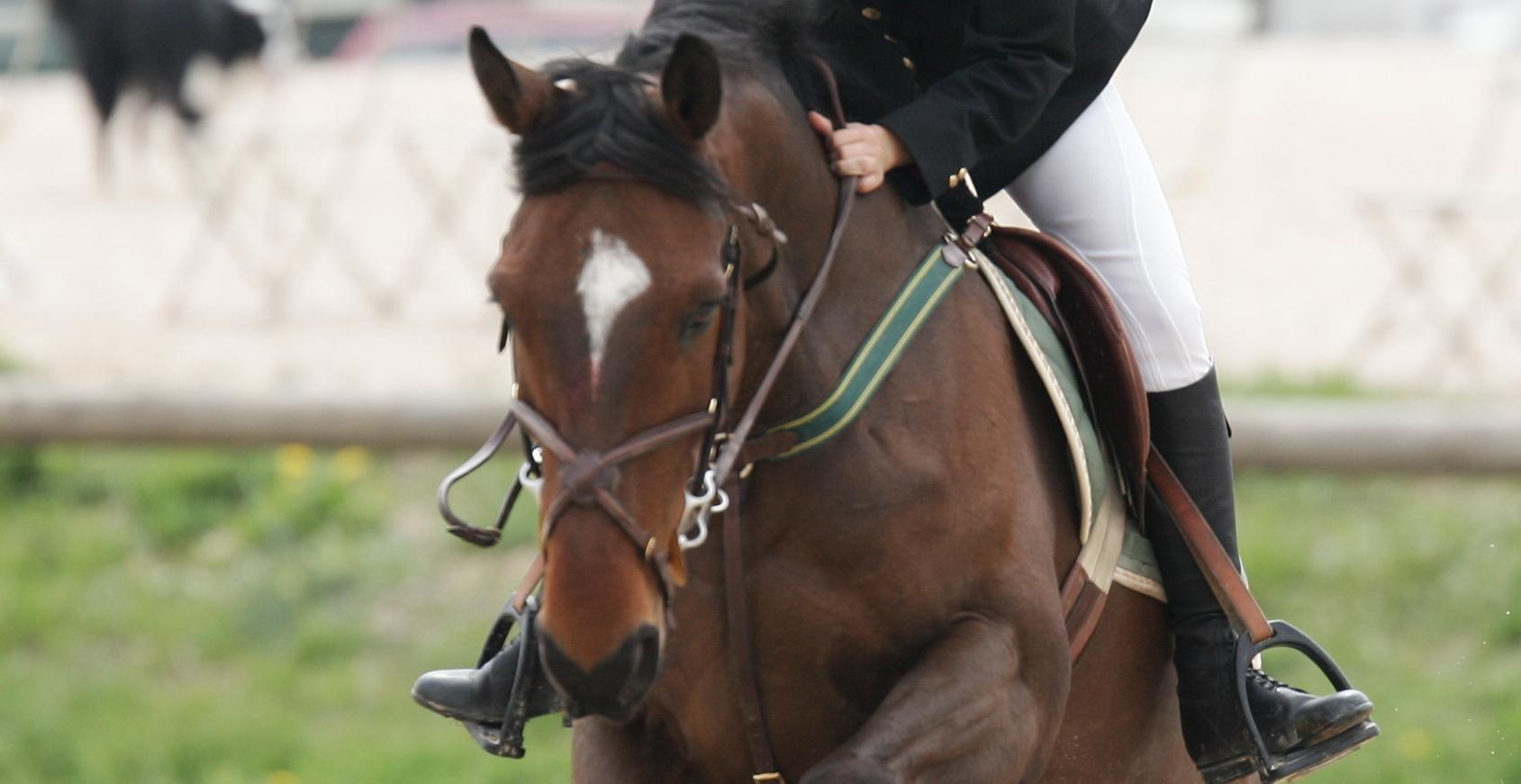 Photo de profil de nanoudadou