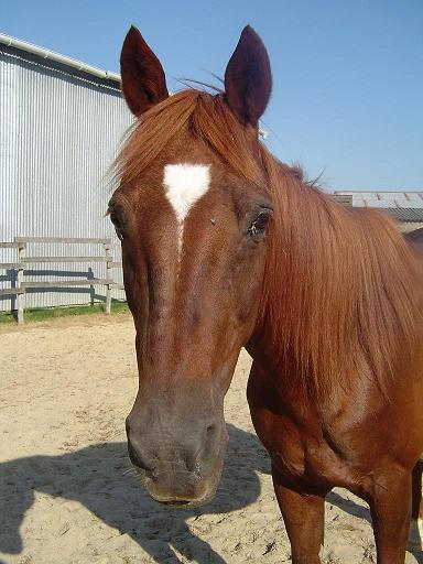 Photo de profil de nath.44