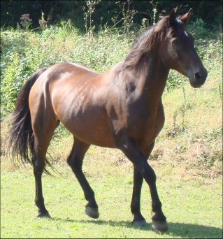 Photo de profil de nathso