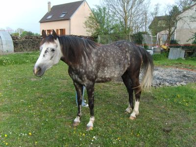 Photo de profil de ness77