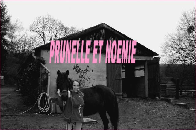 Photo de profil de noemie08320