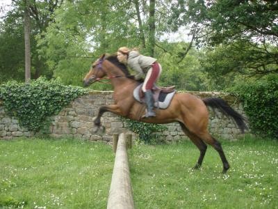 Photo de profil de paolig56410