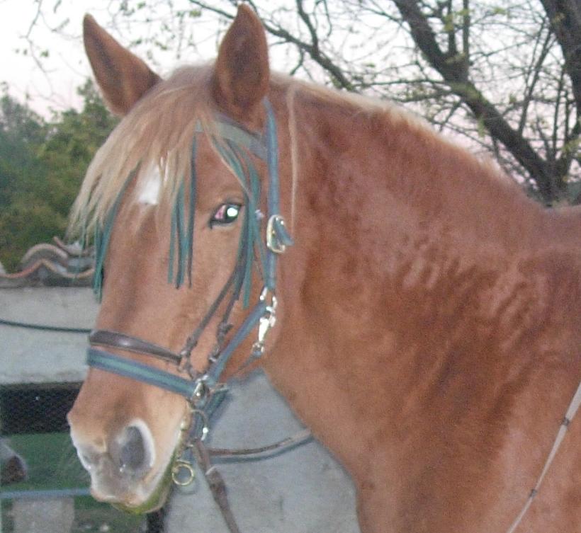 Photo de profil de paolina