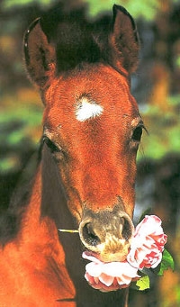 Photo de profil de perle05