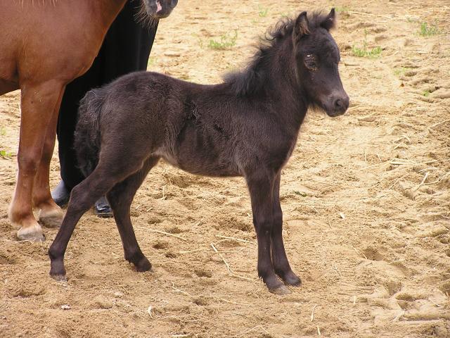 Photo de profil de petites-haies