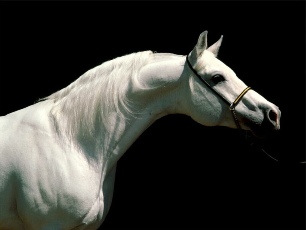 Photo de profil de popy09