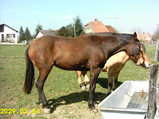 Photo de profil de qookie70