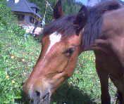 Photo de profil de quiliane