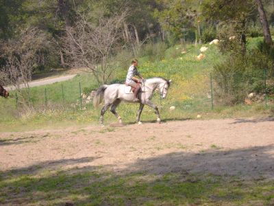 Photo de profil de roxicare