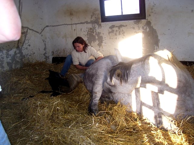 Photo de profil de royale