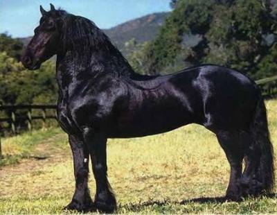 Photo de profil de samy83