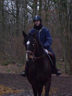 Photo de profil de sarahn