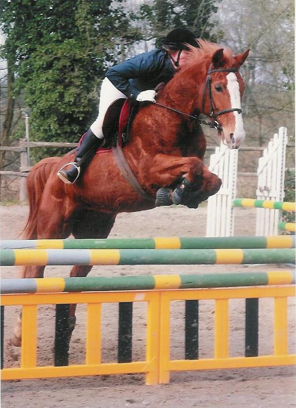 Photo de profil de stef53