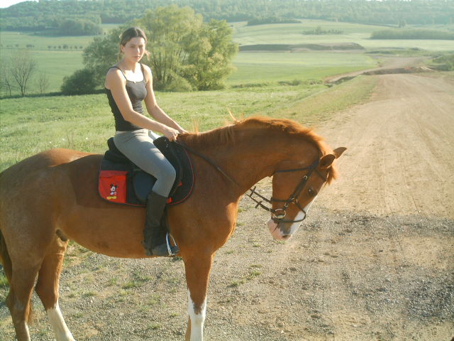 Photo de profil de steph54300
