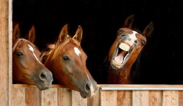 Photo de profil de sucrette