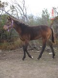 Photo de profil de texas05