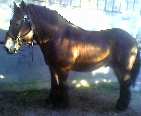 Photo de profil de tichat12