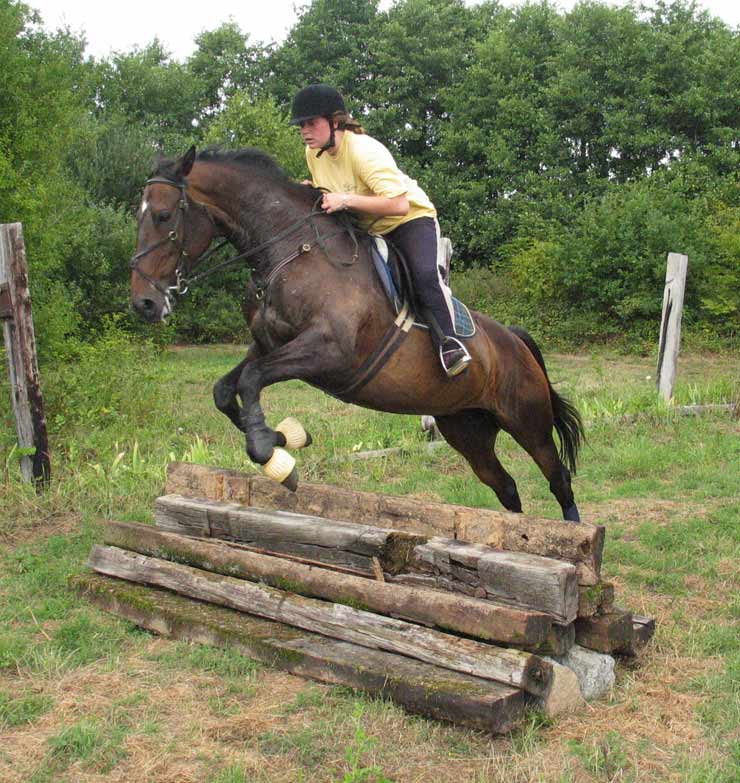 Photo de profil de tifoon